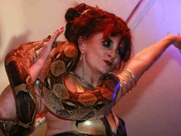 Treffen 2008